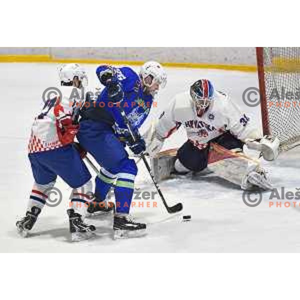 of Slovenia in action durnig friendly ice-hockey match between Slovenia and Croatia in Celje, Slovenia on April 8, 2018