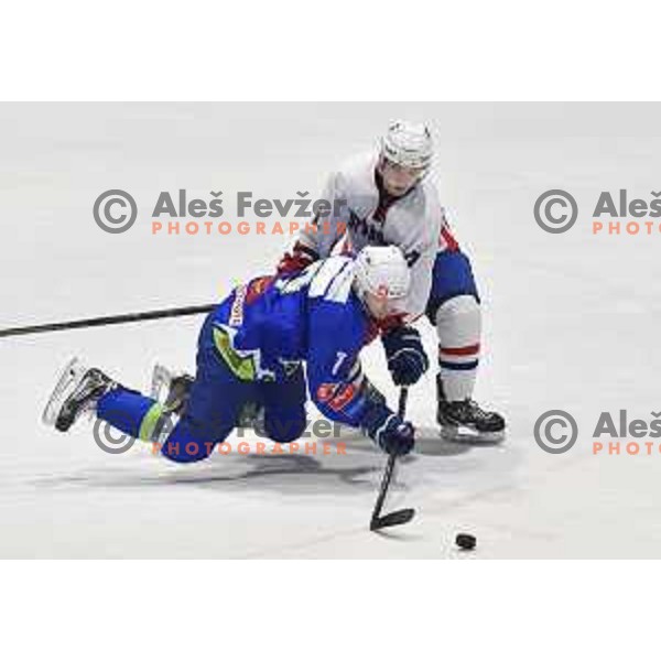 of Slovenia in action durnig friendly ice-hockey match between Slovenia and Croatia in Celje, Slovenia on April 8, 2018