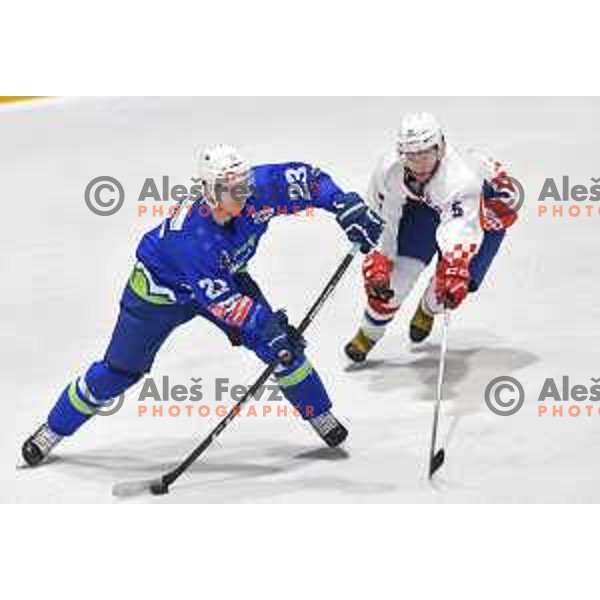 of Slovenia in action durnig friendly ice-hockey match between Slovenia and Croatia in Celje, Slovenia on April 8, 2018