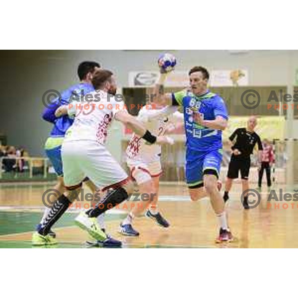 during friendly handball match between Slovenia and Belarus in Tri lilije Hall, Lasko, Slovenia on April 8, 2018