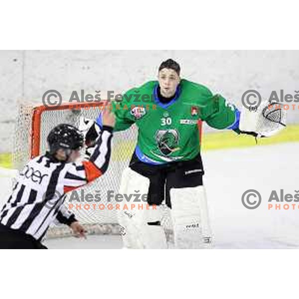 Tilen Spreitzer in action during second match in the Final of Slovenian ice-hockey league between SZ Olimpija and Acroni Jesenice in Tivoli Hall, Ljubljana, Slovenia on April 10, 2018
