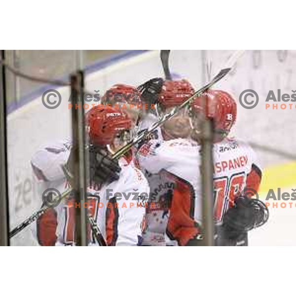 action during second match in the Final of Slovenian ice-hockey league between SZ Olimpija and Acroni Jesenice in Tivoli Hall, Ljubljana, Slovenia on April 10, 2018