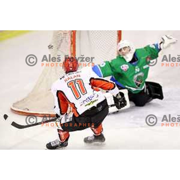 Luka Kalan in action during second match in the Final of Slovenian ice-hockey league between SZ Olimpija and Acroni Jesenice in Tivoli Hall, Ljubljana, Slovenia on April 10, 2018