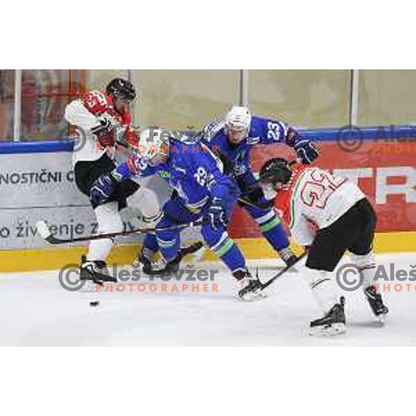 action during friendly ice-hockey match between Slovenia and Hungary at Bled ice Hall, Slovenia on April 11, 2018