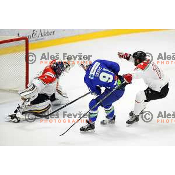 action during friendly ice-hockey match between Slovenia and Hungary at Bled ice Hall, Slovenia on April 11, 2018