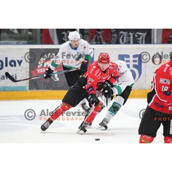 Miha Logar in action during third match of the Final of Slovenian Ice-Hockey League between SIJ Acroni Jesenice and SZ Olimpija in Podmezakla Hall, Jesenice, Slovenia on April 12, 2018