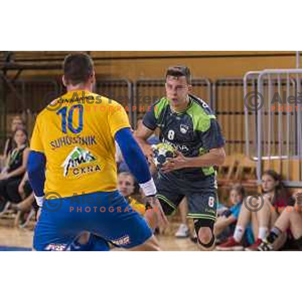 in action during Slovenian Cup Final match between Krka and Celje PL, in Ljutomer, on April 22, 2018