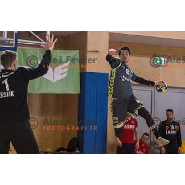 in action during Slovenian Cup Final match between Krka and Celje PL, in Ljutomer, on April 22, 2018