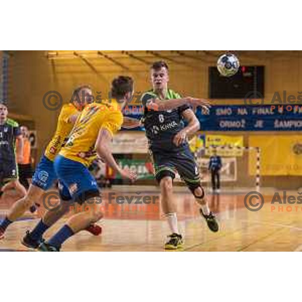 in action during Slovenian Cup Final match between Krka and Celje PL, in Ljutomer, on April 22, 2018