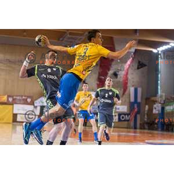 in action during Slovenian Cup Final match between Krka and Celje PL, in Ljutomer, on April 22, 2018