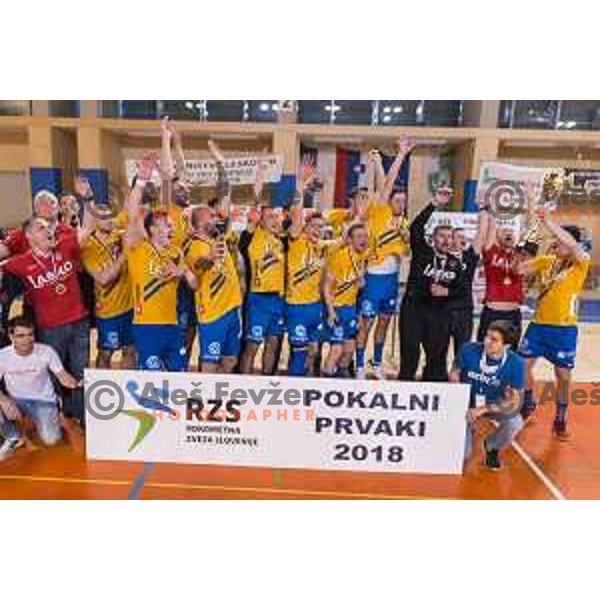 in action during Slovenian Cup Final match between Krka and Celje PL, in Ljutomer, on April 22, 2018