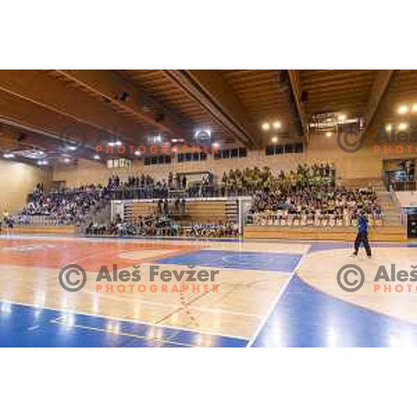 in action during Slovenian Cup Final match between Krka and Celje PL, in Ljutomer, on April 22, 2018