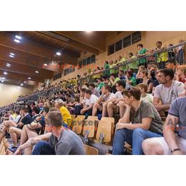 in action during Slovenian Cup Final match between Krka and Celje PL, in Ljutomer, on April 22, 2018