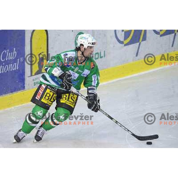 Todd Elik 