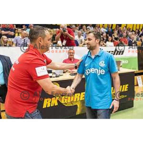 Celje’s head coach Branko Tamse and Gorenje’s head coach Klemen Luzar in action during 1 NLB Leasing League match between Gorenje and Celje PL, in Velenje, on May 9, 2018 