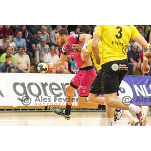 Celje’s Borut Mackovsek (51) in action during 1 NLB Leasing League match between Gorenje and Celje PL, in Velenje, on May 9, 2018