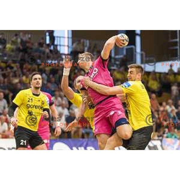 Celje’s Ziga Mlakar (55) in action during 1 NLB Leasing League match between Gorenje and Celje PL, in Velenje, on May 9, 2018