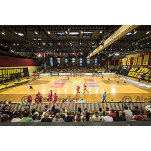 Athmosphere during 1 NLB Leasing League match between Gorenje and Celje PL, in Velenje, on May 9, 2018