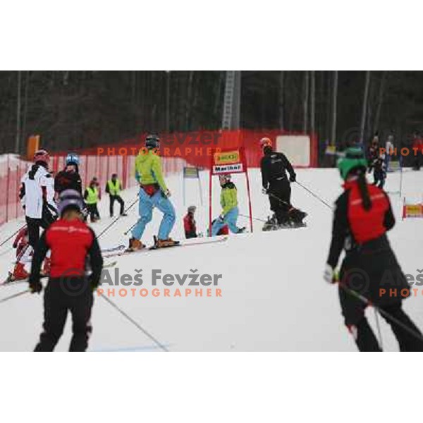 Girls at course inspection before first run of 44.Golden Fox Audi FIS Alpine Ski World Cup Giant Slalom in Maribor11.1.2007. Photo by Ales Fevzer 