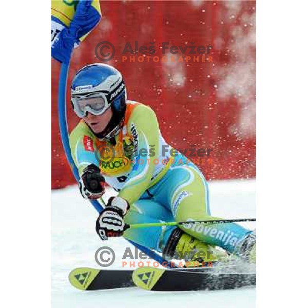 Marusa Ferk at first run of 44.Golden Fox Audi FIS Alpine Ski World Cup Giant Slalom in Maribor11.1.2007. Photo by Ales Fevzer 