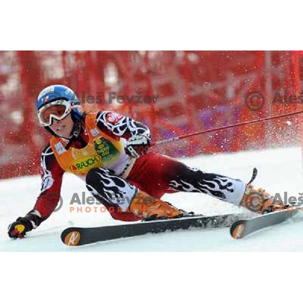 Gasienica Daniel at first run of 44.Golden Fox Audi FIS Alpine Ski World Cup Giant Slalom in Maribor11.1.2007. Photo by Ales Fevzer 