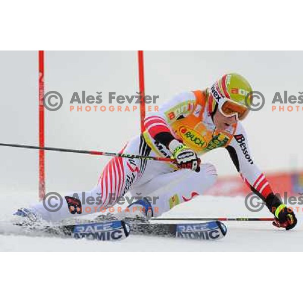  Marlies Schild