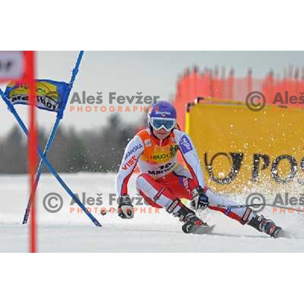 Sarka Zahrobska at first run of 44.Golden Fox Audi FIS Alpine Ski World Cup Giant Slalom in Maribor11.1.2007. Photo by Ales Fevzer 
