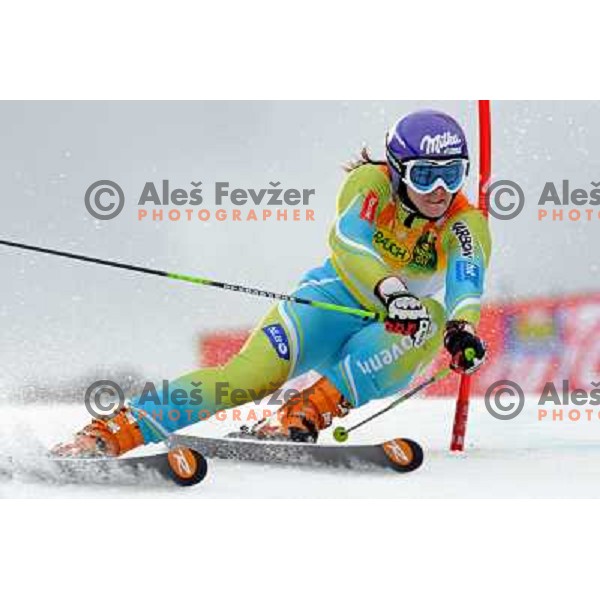 Tina Maze at first run of 44.Golden Fox Audi FIS Alpine Ski World Cup Giant Slalom in Maribor11.1.2007. Photo by Ales Fevzer 