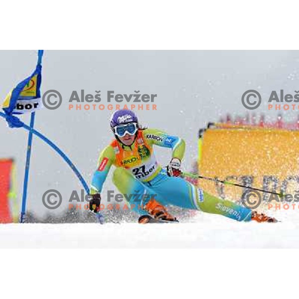 Tina Maze at first run of 44.Golden Fox Audi FIS Alpine Ski World Cup Giant Slalom in Maribor11.1.2007. Photo by Ales Fevzer 