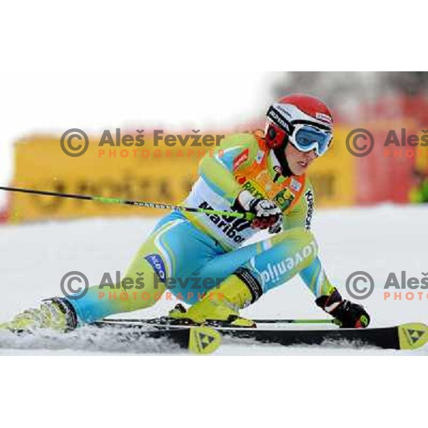 Mateja Robnik at first run of 44.Golden Fox Audi FIS Alpine Ski World Cup Giant Slalom in Maribor11.1.2007. Photo by Ales Fevzer 
