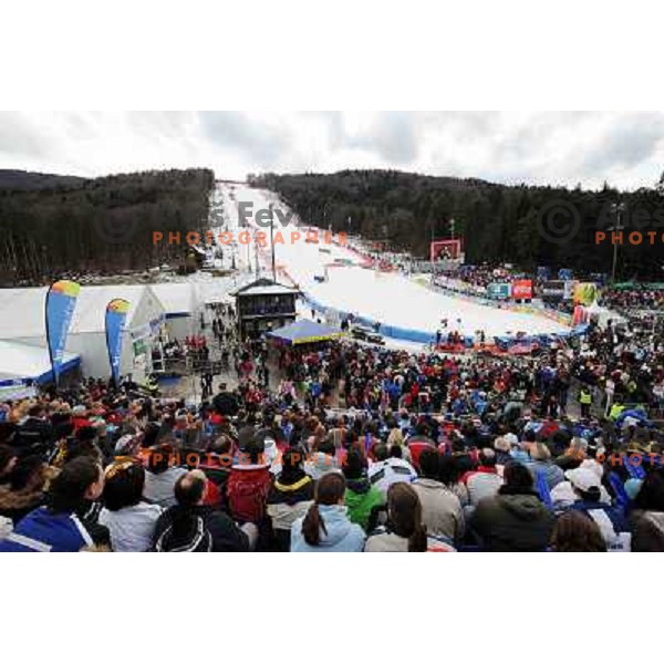 People watching second run of 44.Golden Fox Audi FIS Alpine Ski World Cup Giant Slalom in Maribor11.1.2007. Photo by Ales Fevzer 