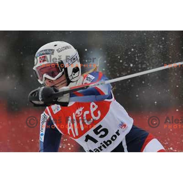 Nina Loeseth in first run of 44.Golden Fox Audi FIS Alpine Ski World Cup Slalom in Maribor13.1.2007. Photo by Ales Fevzer 