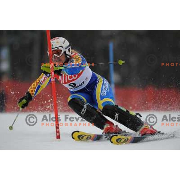 Anja Paerson in first run of 44.Golden Fox Audi FIS Alpine Ski World Cup Slalom in Maribor13.1.2007. Photo by Ales Fevzer 