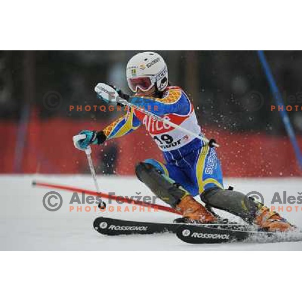 Maria Pietilae-Holmne in first run of 44.Golden Fox Audi FIS Alpine Ski World Cup Slalom in Maribor13.1.2007. Photo by Ales Fevzer 