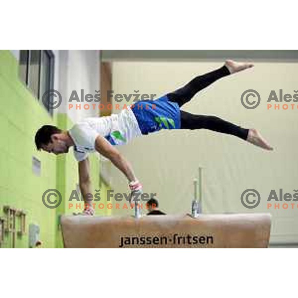 Saso Bertoncelj,member of Slovenia Gymnastics team for World Cup event in Koper on June 2, 2018