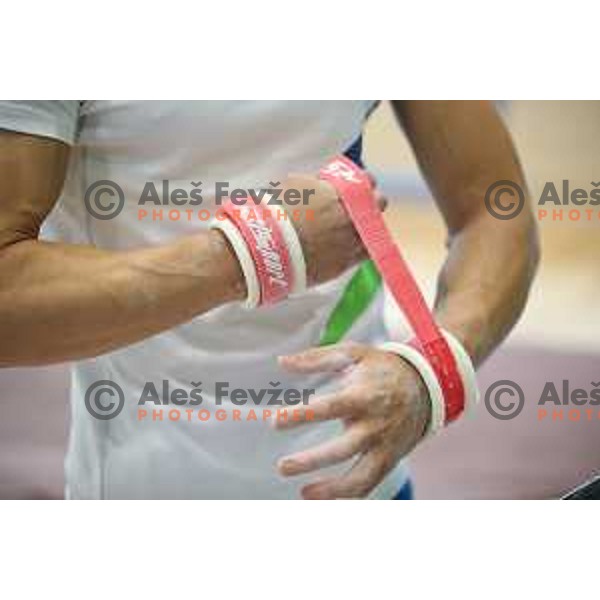 Saso Bertoncelj,member of Slovenia Gymnastics team for World Cup event in Koper on June 2, 2018