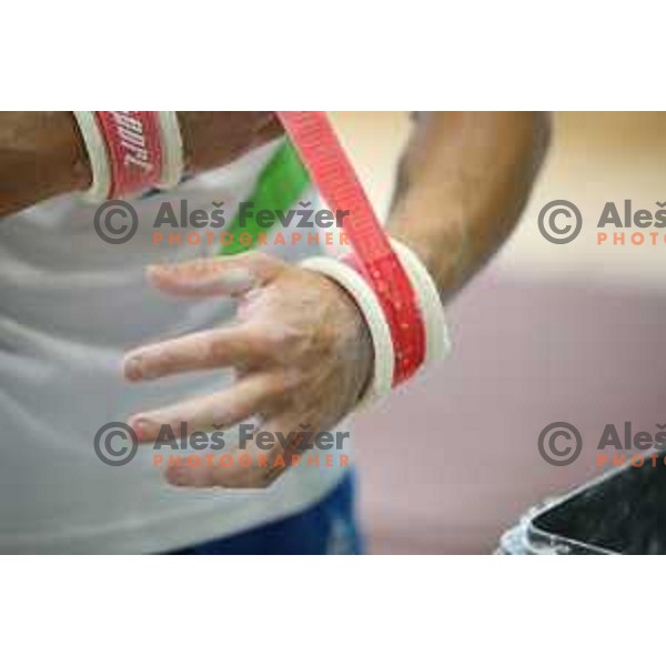 Saso Bertoncelj,member of Slovenia Gymnastics team for World Cup event in Koper on June 2, 2018
