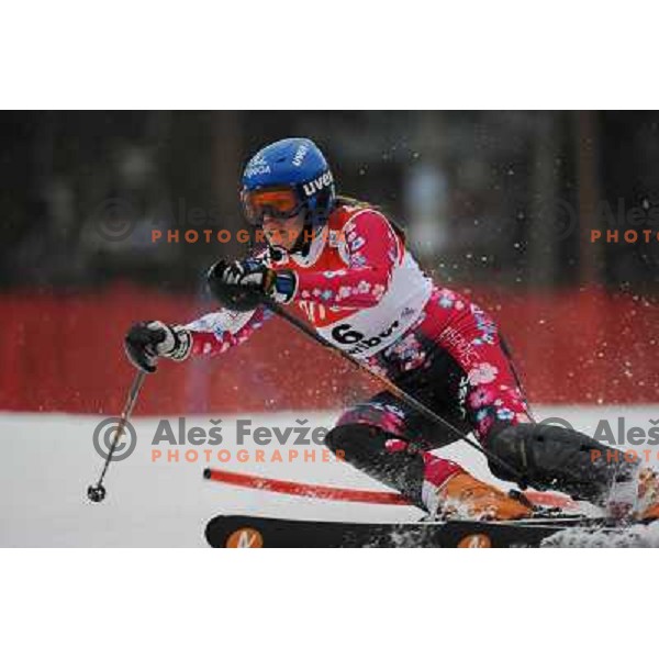 Veronika Zuzulova in first run of 44.Golden Fox Audi FIS Alpine Ski World Cup Slalom in Maribor13.1.2007. Photo by Ales Fevzer 