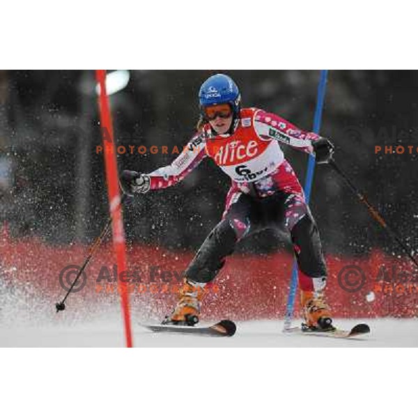 Veronika Zuzulova in first run of 44.Golden Fox Audi FIS Alpine Ski World Cup Slalom in Maribor13.1.2007. Photo by Ales Fevzer 