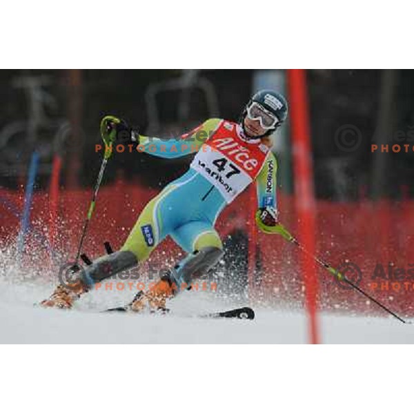 Ana Drev in first run of 44.Golden Fox Audi FIS Alpine Ski World Cup Slalom in Maribor13.1.2007. Photo by Ales Fevzer 
