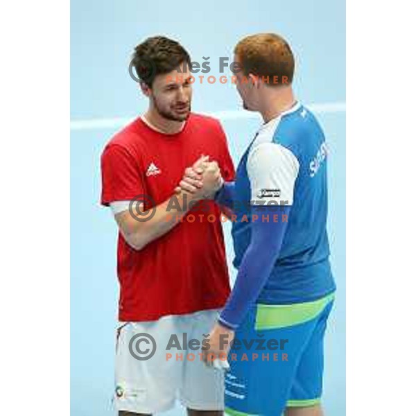 Matej Gaber (SLO) talks to Mate Lekai (HUN) before Qualification handball match for World Championship 2019 between Slovenia and Hungary in Bonifika hall, Koper, Slovenia on June 9, 2018