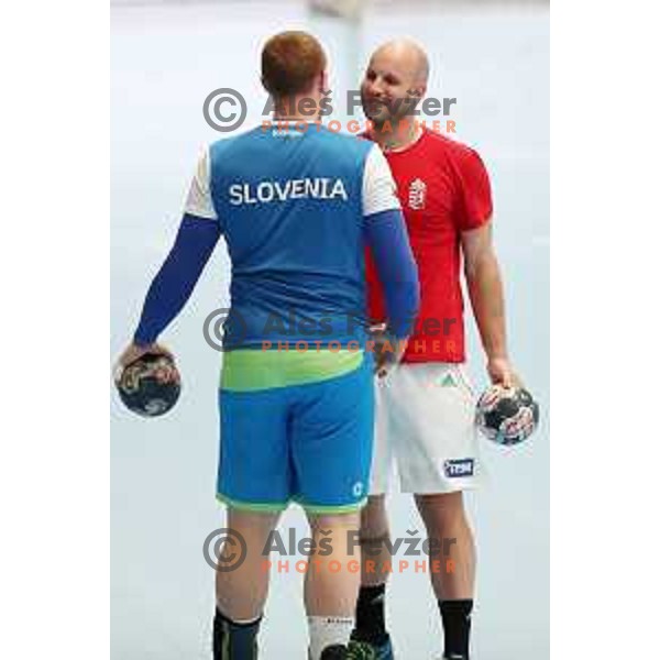 Zsolt Balogh (HUN) before Qualification handball match for World Championship 2019 between Slovenia and Hungary in Bonifika hall, Koper, Slovenia on June 9, 2018