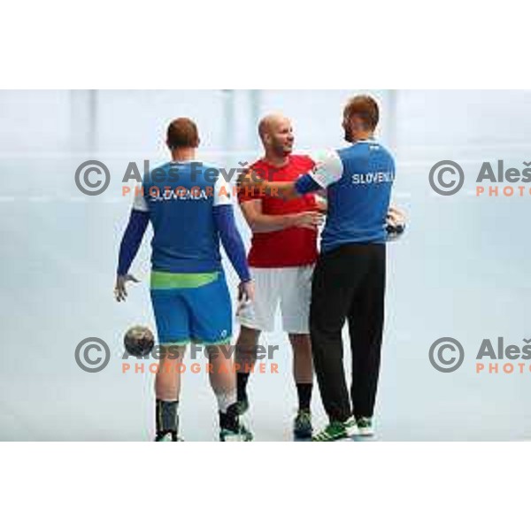 Zsolt Balogh and Urh Kastelic during Qualification handball match for World Championship 2019 between Slovenia and Hungary in Bonifika hall, Koper, Slovenia on June 9, 2018