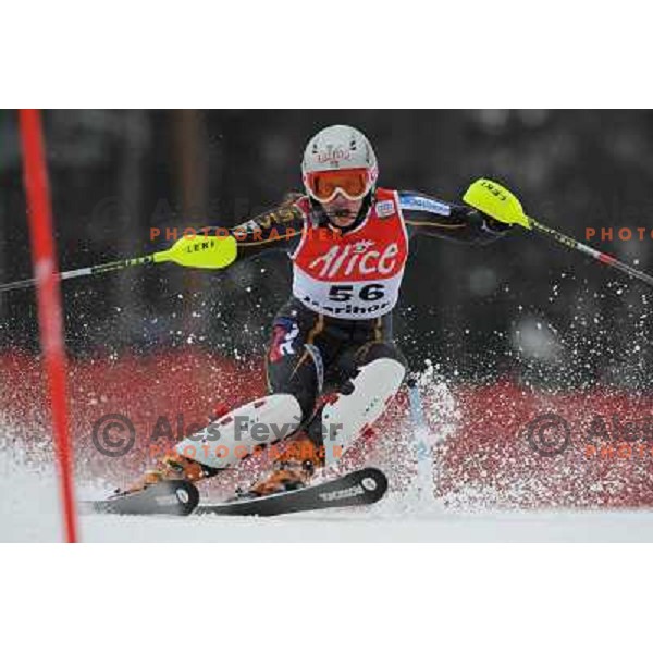 Eva Kurfurstova in first run of 44.Golden Fox Audi FIS Alpine Ski World Cup Slalom in Maribor13.1.2007. Photo by Ales Fevzer 