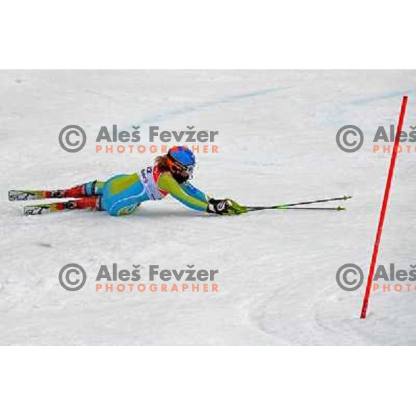 Ilka Stuhec in first run of 44.Golden Fox Audi FIS Alpine Ski World Cup Slalom in Maribor13.1.2007. Photo by Ales Fevzer 