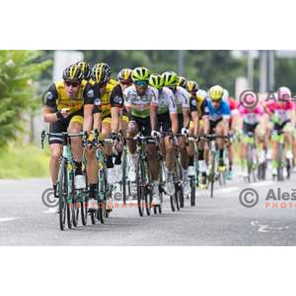 at third stage of 25th Tour of Slovenia cycling race between Slovenske Konjice in Celje (175,7 km), Slovenia on June 15, 2018