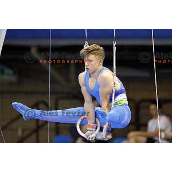 Luka Bojanc of Slovenia during Artistic Gymnastics team Qualifications at second day of 18. Mediteranean Games Tarragona 2018 (Sredozemske Igre) in Spain on June 24, 2018