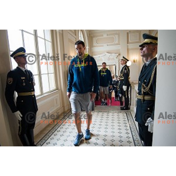Gasper Vidmar of the Slovenian basketball team at the presentation of the Golden Order of Slovenia, Presidential palace, Ljubljana, Slovenia