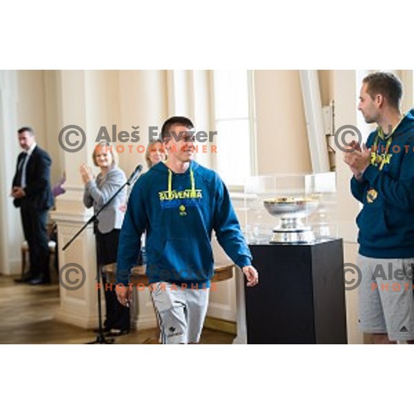 Matic Rebec of the Slovenian basketball team at the presentation of the Golden Order of Slovenia, Presidential palace, Ljubljana, Slovenia