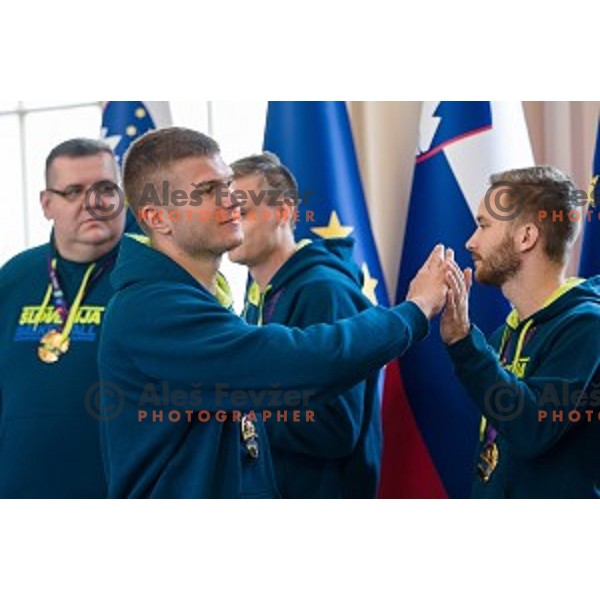 Dino Muric of the Slovenian basketball team at the presentation of the Golden Order of Slovenia, Presidential palace, Ljubljana, Slovenia